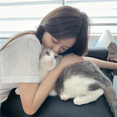 窗户上的阴影