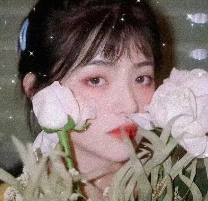 梨花劫