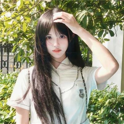 布公仔之金银岛